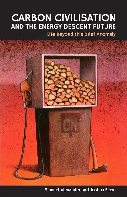 Carbon Civilisation and the Energy Descent Future: Life Beyond this Brief Anomaly - Paperback
