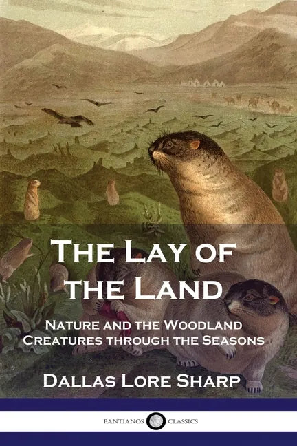 The Lay of the Land: Nature and the Woodland Creatures through the Seasons - Paperback