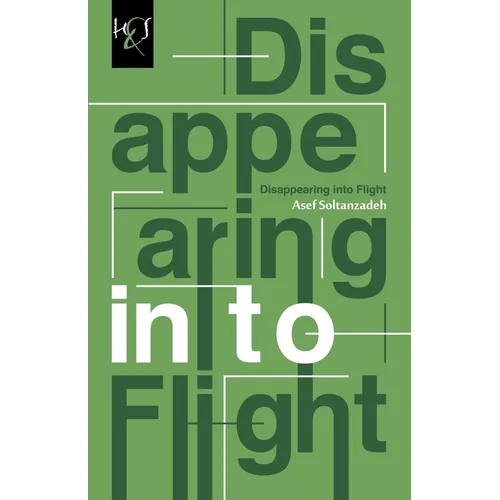 Disappearing Into Flight - Paperback