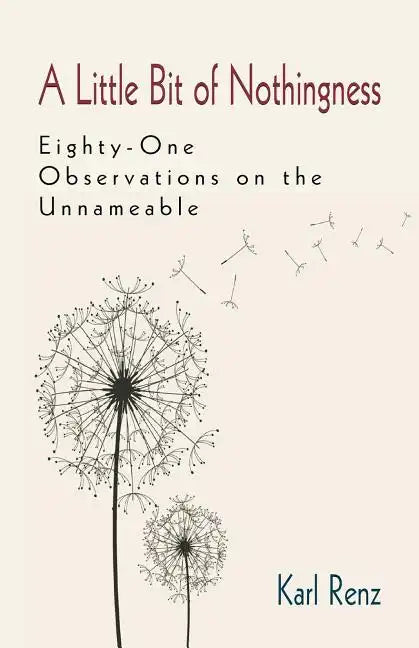A Little Bit of Nothingness - Paperback