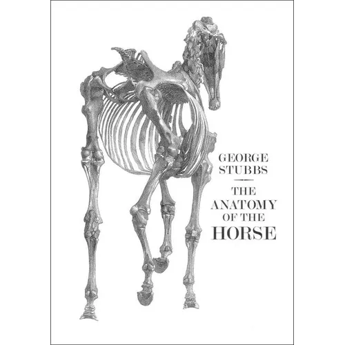 The Anatomy of the Horse - Paperback