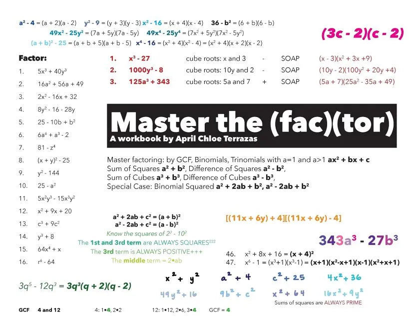 Master the Factor - Paperback