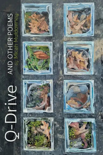 Q-Drive and Other Poems - Paperback