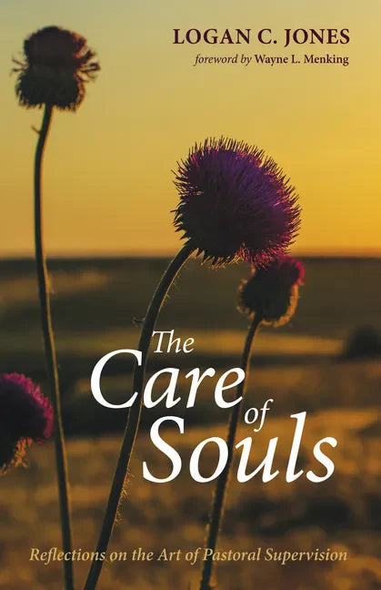 The Care of Souls: Reflections on the Art of Pastoral Supervision - Paperback
