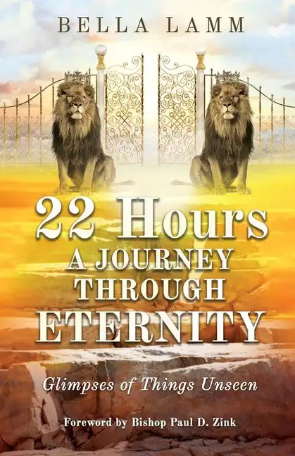 22 Hours: A Journey Through Eternity: Glimpses of Things Unseen - Paperback