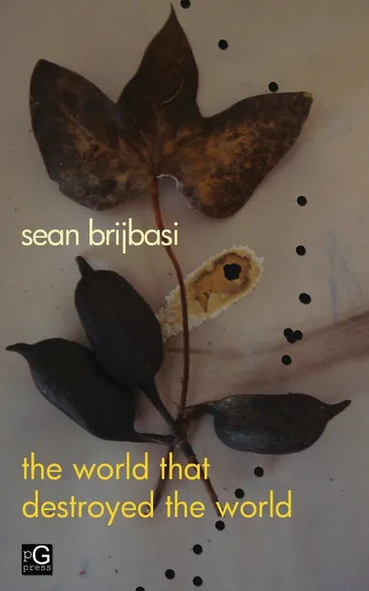 The world that destroyed the world: a poem - Paperback