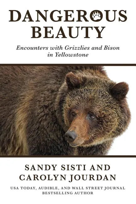 Dangerous Beauty: Encounters with Grizzlies and Bison in Yellowstone - Paperback
