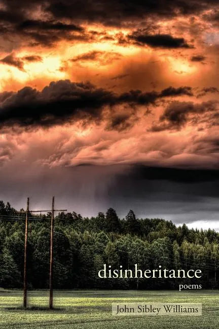 Disinheritance: Poems - Paperback