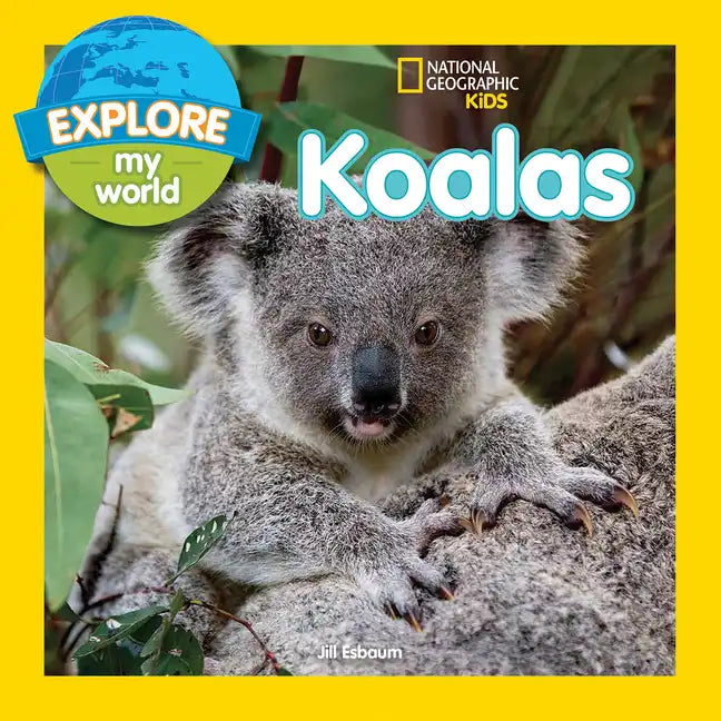 Explore My World Koalas - Paperback