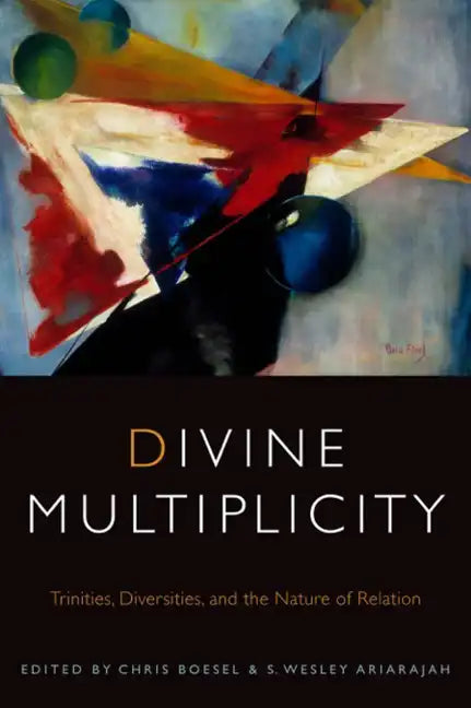 Divine Multiplicity: Trinities, Diversities, and the Nature of Relation - Paperback