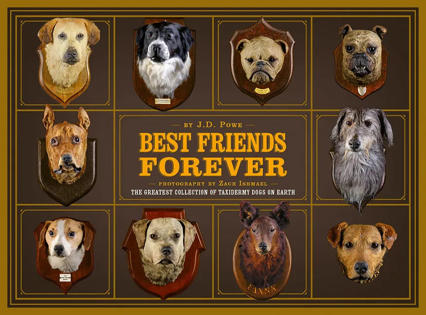 Best Friends Forever: The Greatest Collection of Taxidermy Dogs on Earth - Hardcover