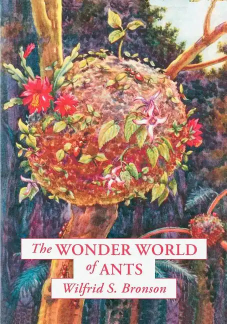 The Wonder World of Ants - Paperback