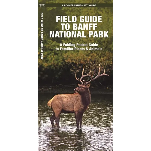 Field Guide to Banff National Park: A Folding Pocket Guide to Familiar Plants & Animals - Paperback