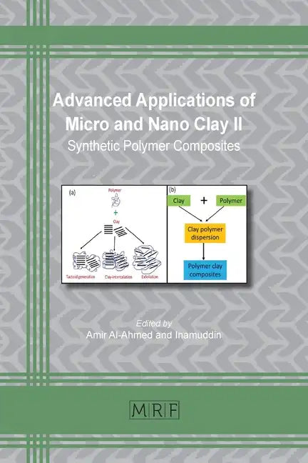 Advanced Applications of Micro and Nano Clay II: Synthetic Polymer Composites - Paperback