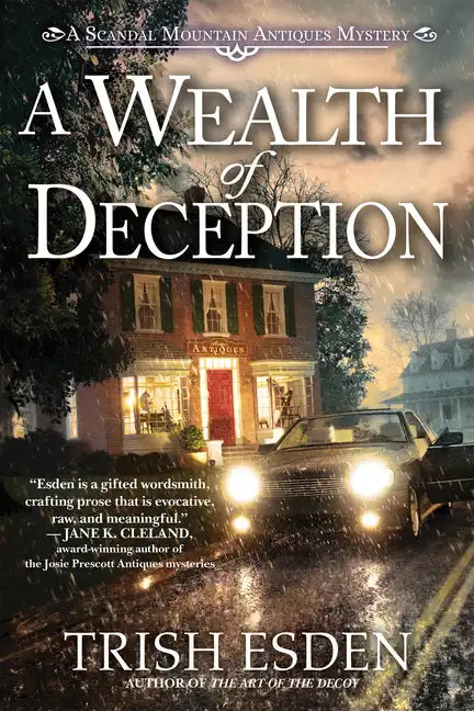 A Wealth of Deception - Hardcover