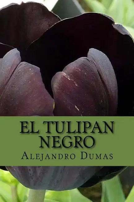 El Tulipan Negro (Spanish) Edition - Paperback