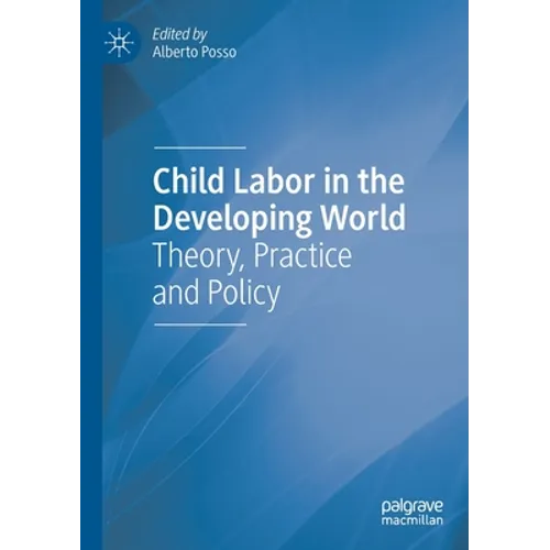 Child Labor in the Developing World: Theory, Practice and Policy - Paperback