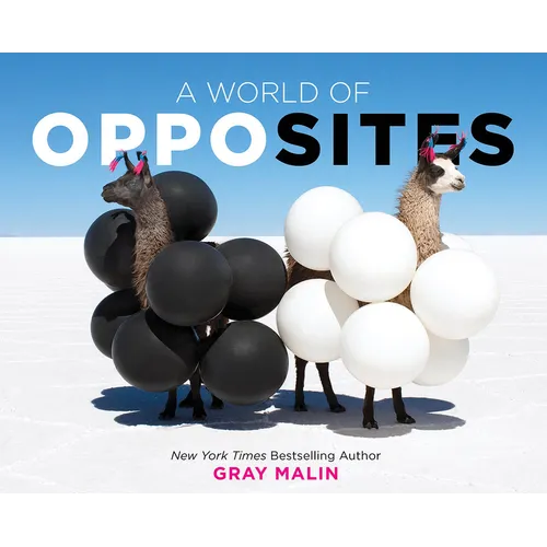 A World of Opposites: A Picture Book - Hardcover