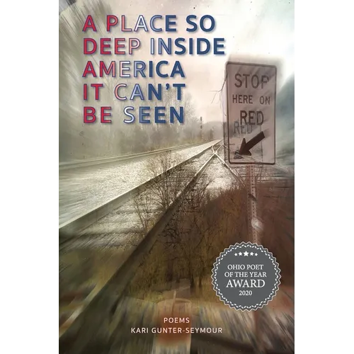 A Place So Deep Inside America It Can't Be Seen: Poems - Paperback