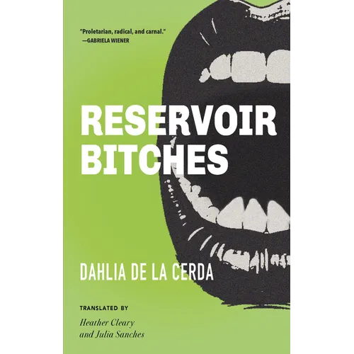 Reservoir Bitches: Stories - Paperback
