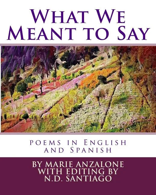 What We Meant to Say: poems in English and Spanish - Paperback