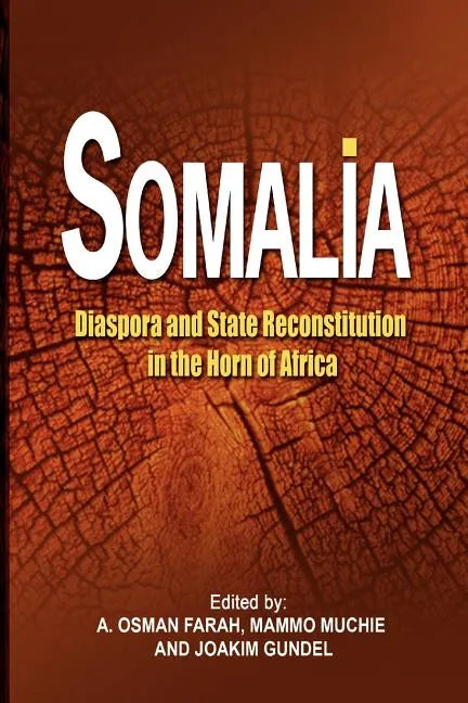 Somalia: Diaspora and State Reconstitution in the Horn of Africa - Paperback