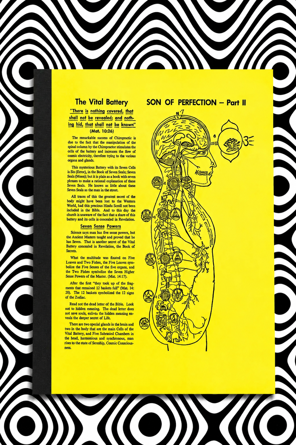 Son of Perfection, Part II — Hilton Hotema
