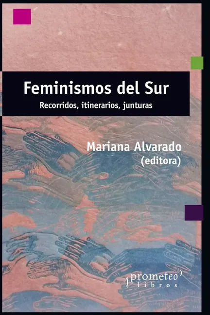 Feminismos del sur: Recorridos, itinerarios, junturas - Paperback