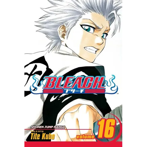 Bleach, Vol. 16 - Paperback