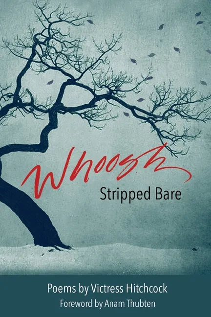Whoosh Stripped Bare - Paperback