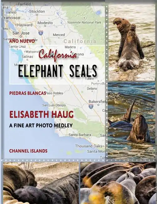 California Elephant Seals - Paperback