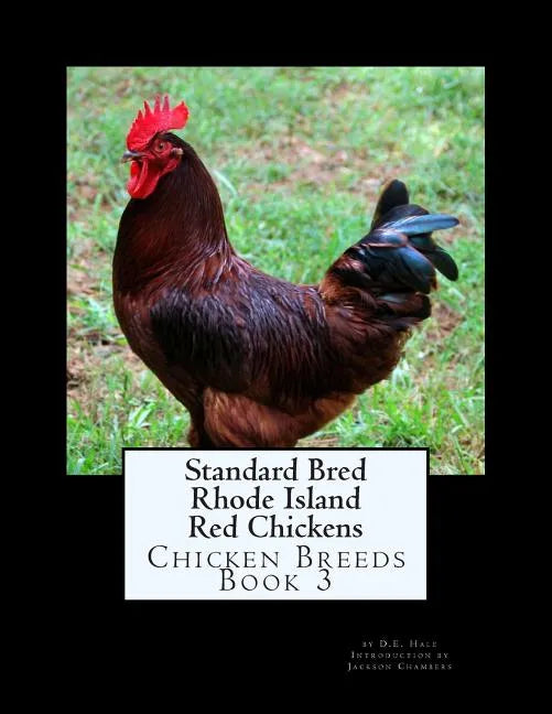 Standard Bred Rhode Island Red Chickens - Paperback