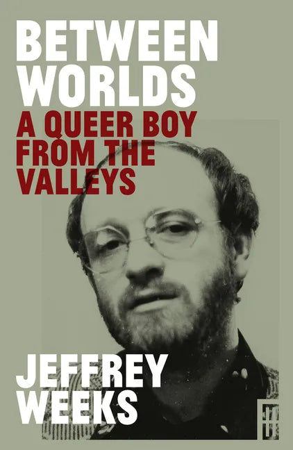 Between Worlds: A Queer Boy from the Valleys - Paperback