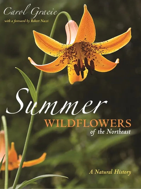 Summer Wildflowers of the Northeast: A Natural History - Paperback