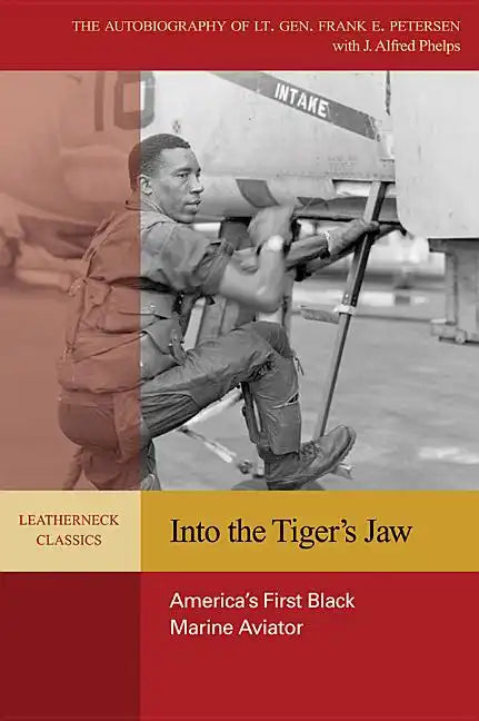 Into the Tiger's Jaw - Paperback