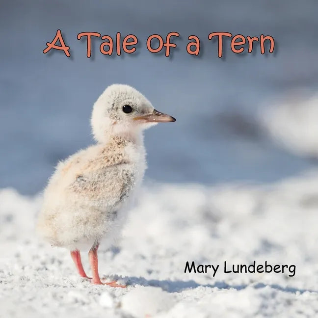 A Tale of a Tern - Paperback
