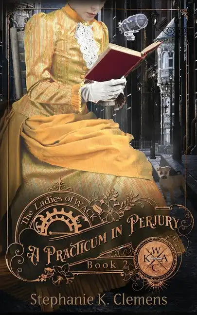 A Practicum in Perjury - Paperback