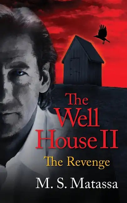 The Well House II: The Revenge - Paperback