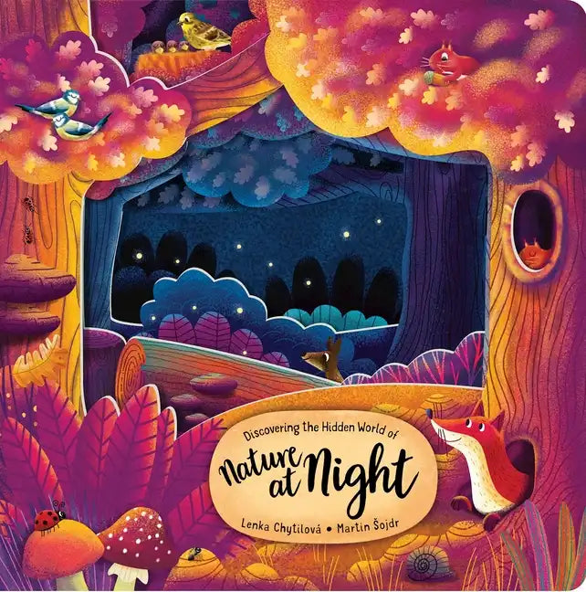 Discovering the Hidden World of Nature at Night - Board Book