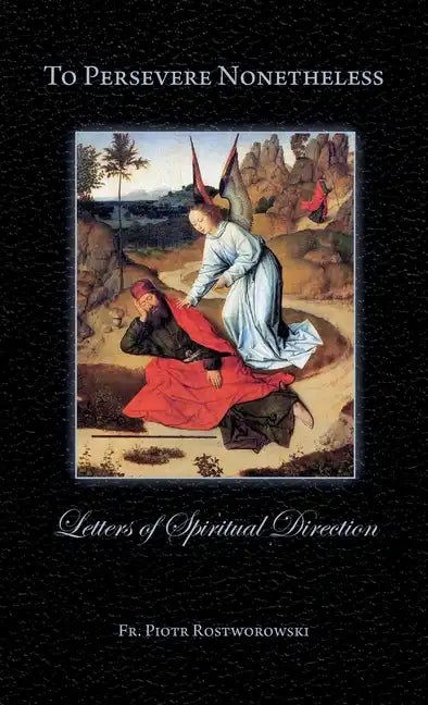 To Persevere Nonetheless: Letters of Spiritual Direction - Paperback