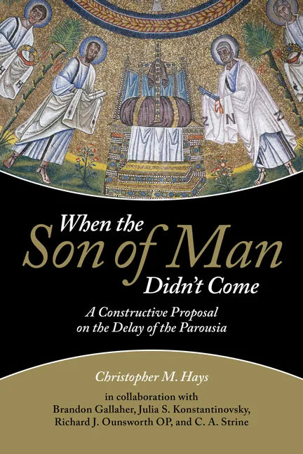 When the Son of Man Didn't Come - Paperback
