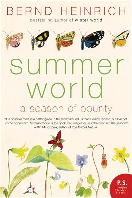 Summer World - Paperback