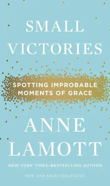 Small Victories: Spotting Improbable Moments of Grace - Hardcover