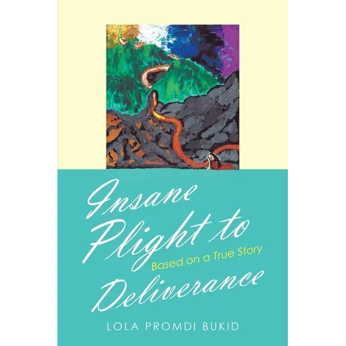 Insane Plight to Deliverance: Based on a True Story - Paperback