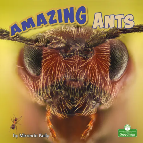 Amazing Ants - Paperback