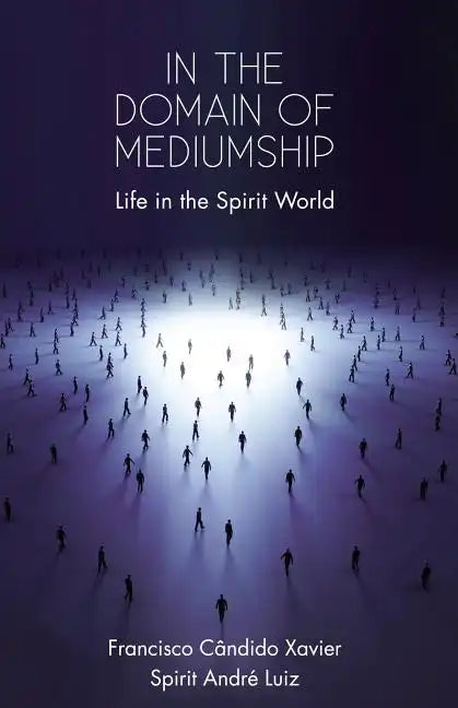 In the Domain of Mediumship: Life in the Spirit World - Paperback