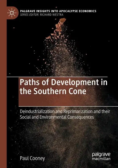Paths of Development in the Southern Cone: Deindustrialization and Reprimarization and Their Social and Environmental Consequences - Paperback