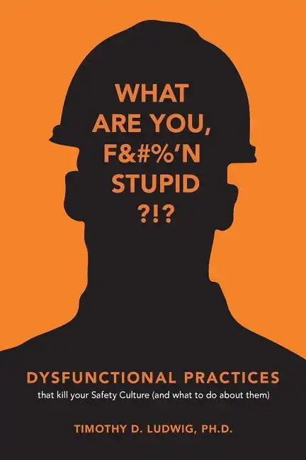 Dysfunctional Practices: that kill your Safety Culture (and what to do about them) - Paperback