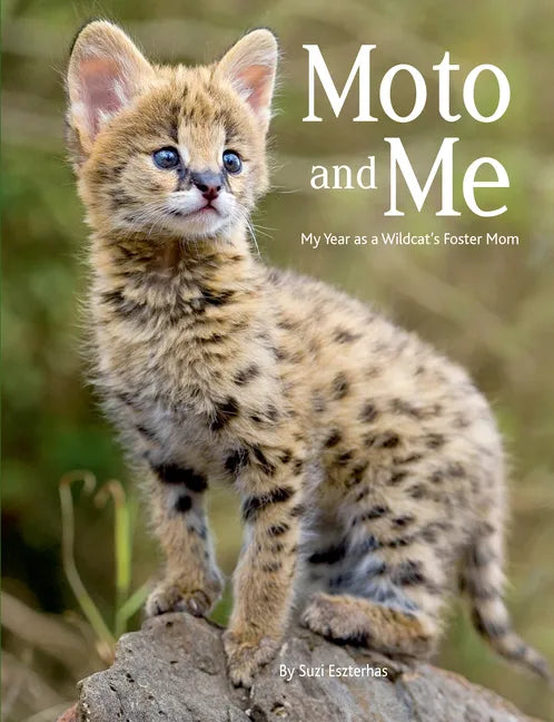 Moto and Me: My Year as a Wildcat's Foster Mom - Paperback