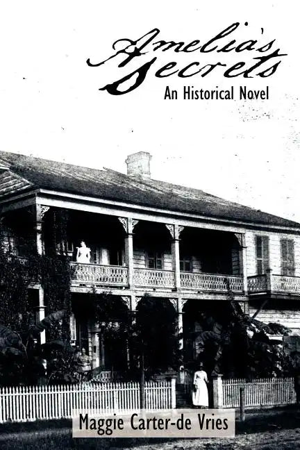 Amelia's Secrets: An Historical Novel - Paperback